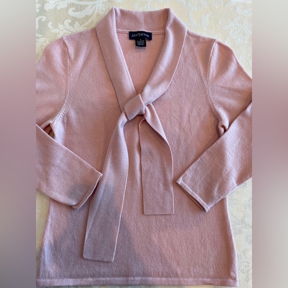 Ann Taylor Sweaters - Ann Taylor 100% Italian Extrafine Merino Wool V-Neck Sweater